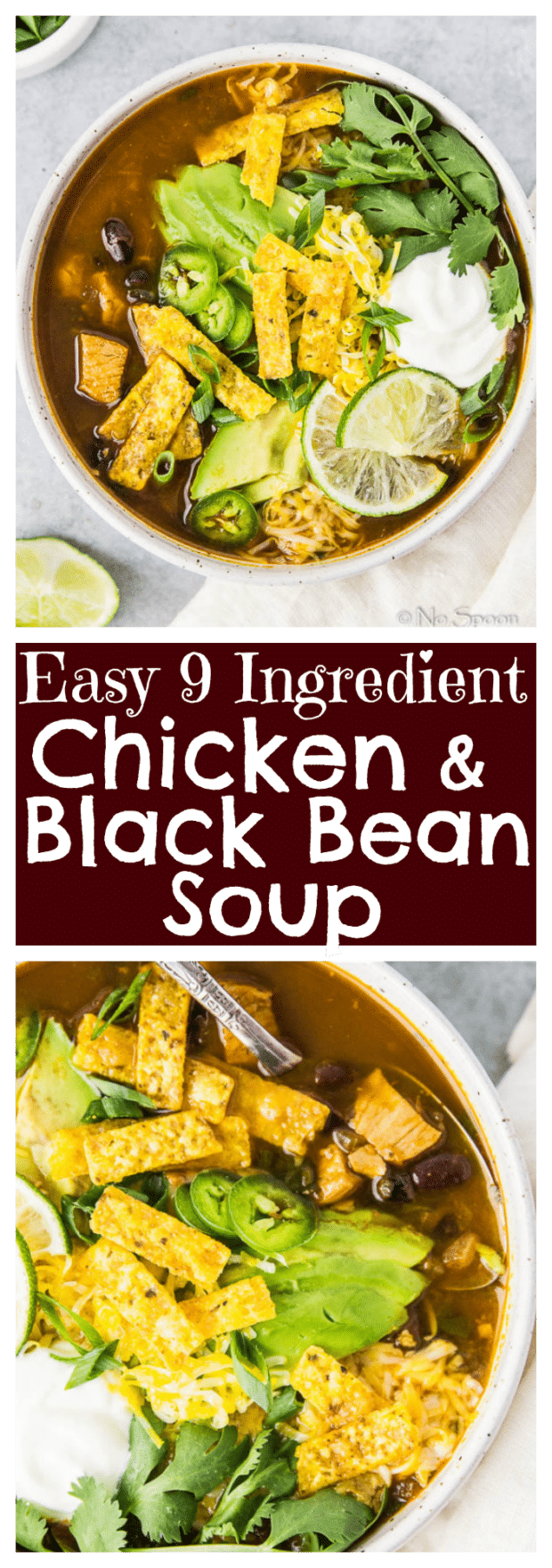 Nine Ingredient, Easy Chicken & Black Bean Soup {One Pot}