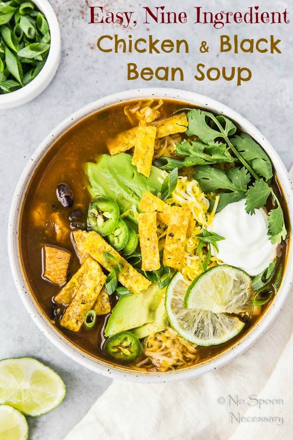 Nine Ingredient, Easy Chicken & Black Bean Soup {One Pot}