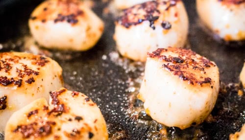 scallops cooking 1