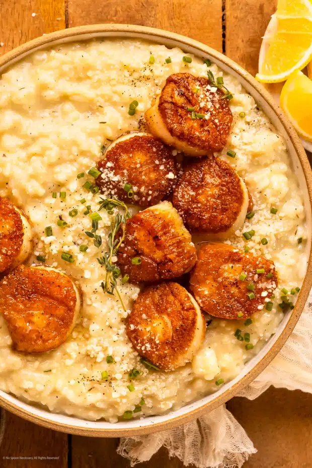 Close-up photo of scallops and risotto with parmesan cheese and thyme in a white serving bowl.