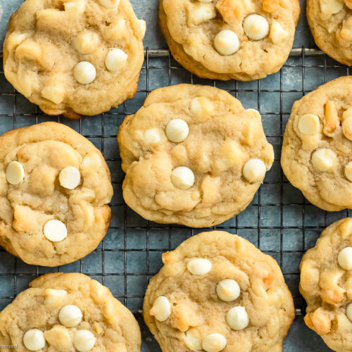 https://www.nospoonnecessary.com/wp-content/uploads/2015/01/White-Chocolate-Macadamia-Nut-Cookies-26-500x500.jpg