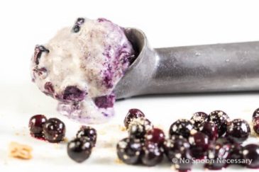 Straight on shot of No Churn Blueberry Cinnamon Ice Cream in an ice cream scoop with fresh blueberry compote scattered in front of the scoop.
