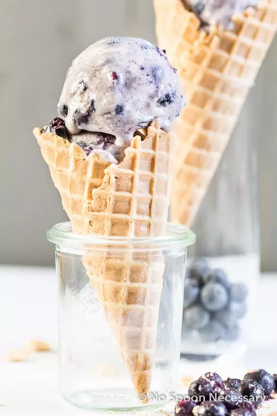 Blueberry Ice Cream-97