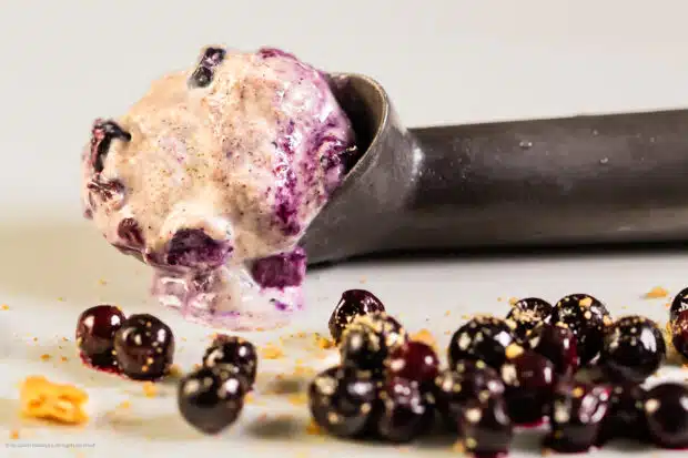 Photo of homemade ice cream with blueberries in an ice cream scoop.