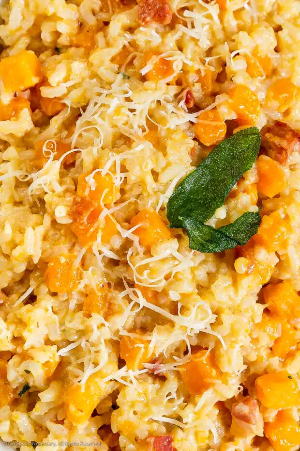 Close-up photo of the texture of risotto butternut squash.