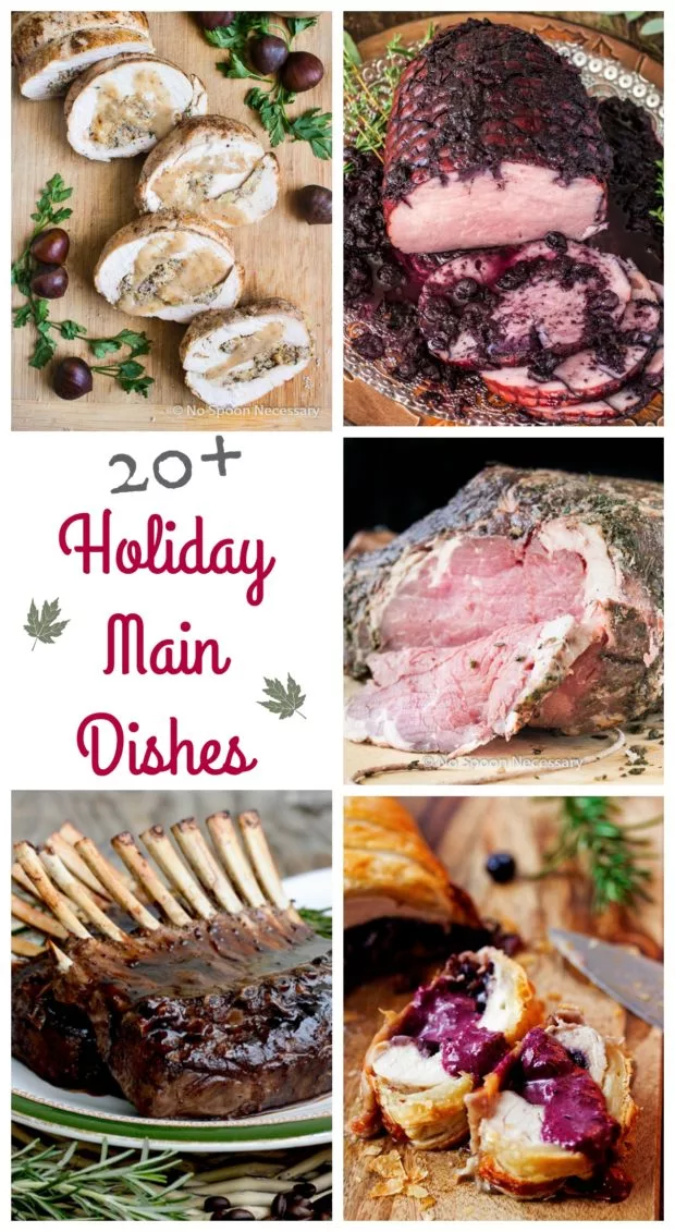 20+ Holiday Main Dishes 1