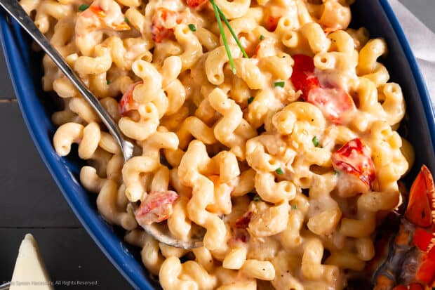 Overhead photo of lobster mac and cheese restaurant style with truffle oil.
