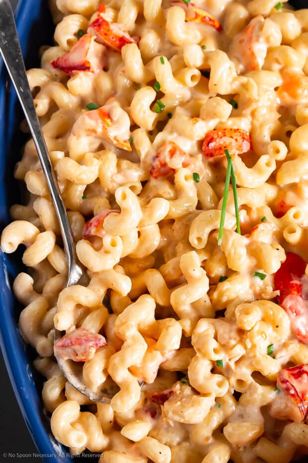 Overhead photo of cooked lobster mac and cheese recipe.