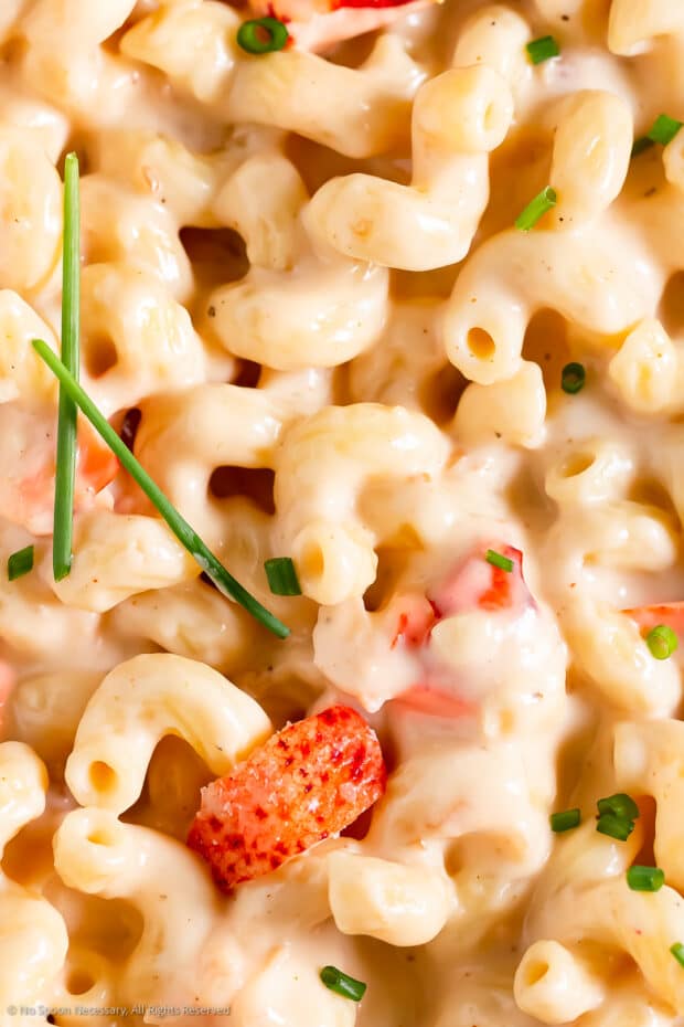 Close up photo of creamy lobster mac and cheese.