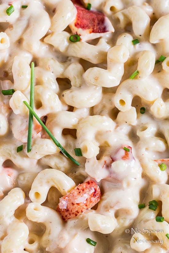 Extreme up-close shot of Truffle Lobster Macaroni n' Cheese showcasing the creamy texture of the dish.