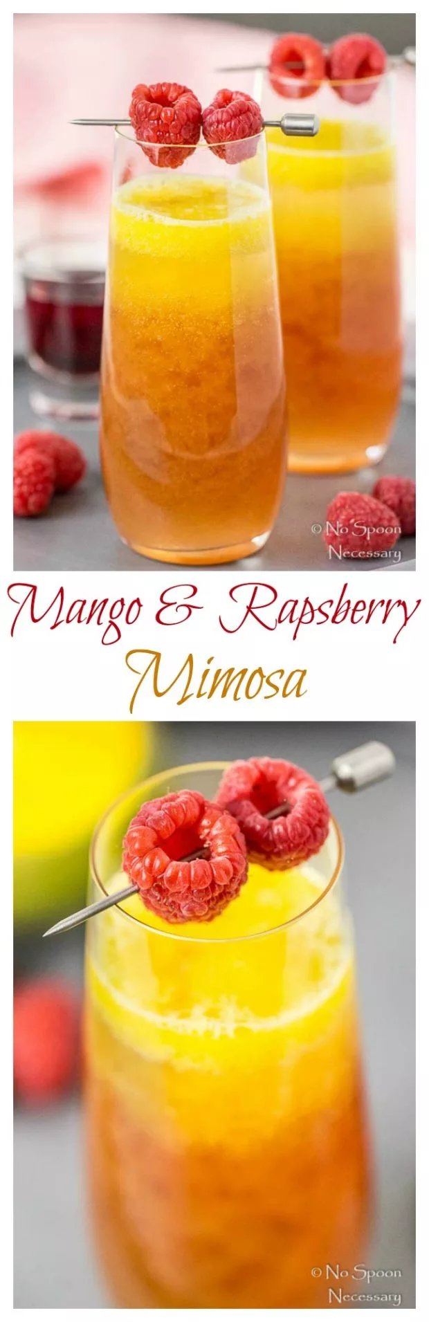Mango Raspberry Mimosa-long pin4