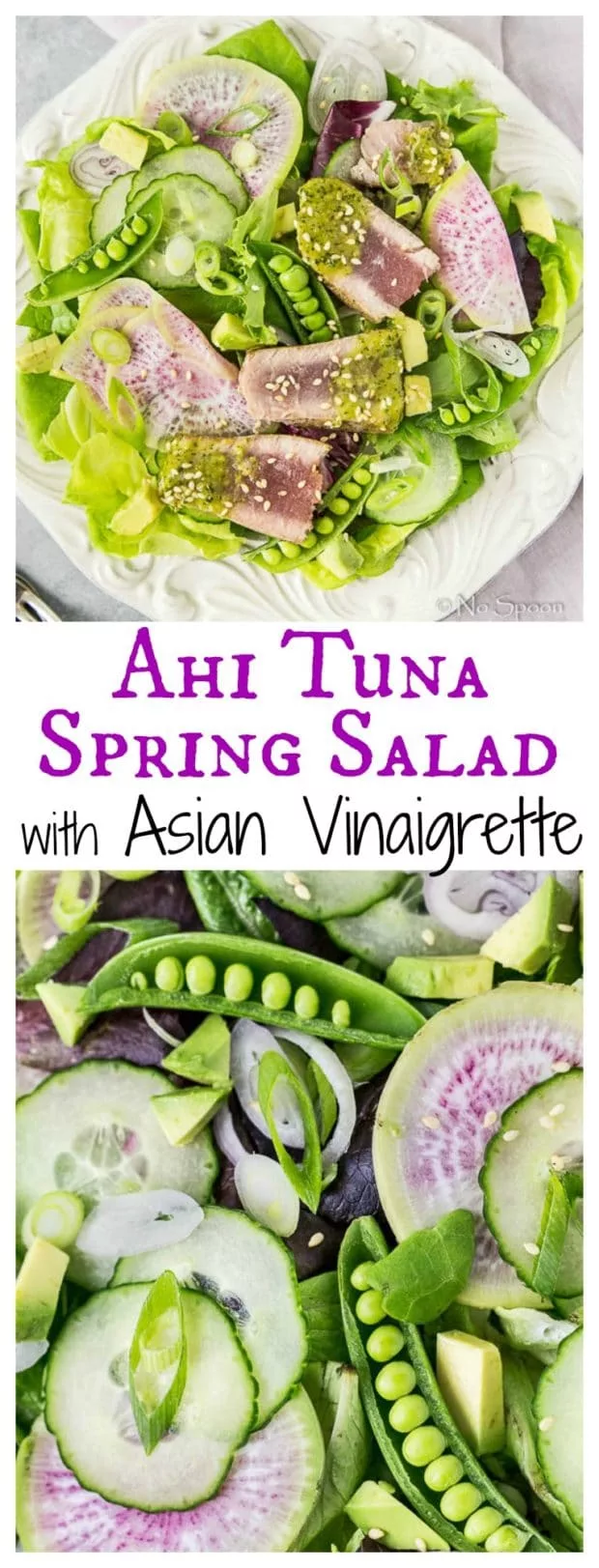 Asian Ahi Tuna & Watermelon Radish Spring Salad- long pin1