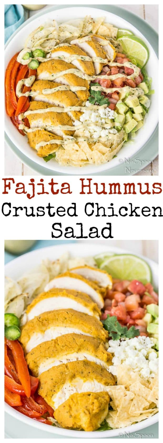 Fajita Hummus Crusted Chicken Salad-long pin1