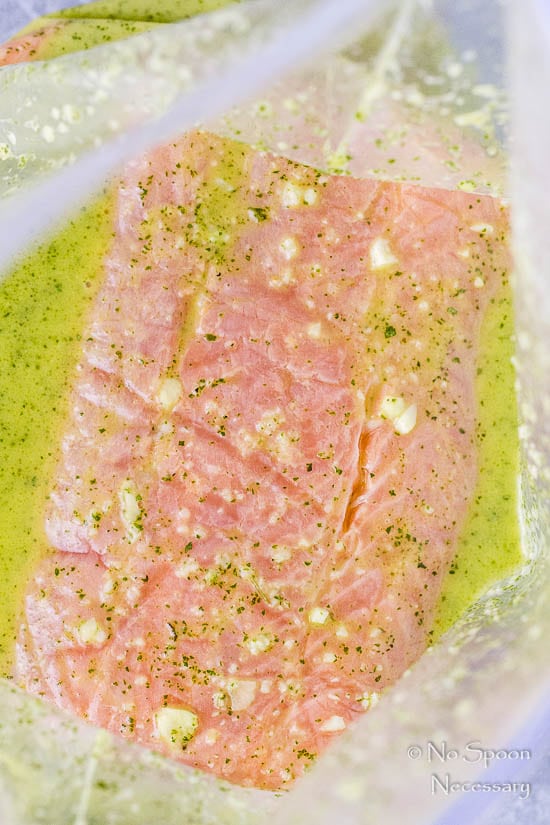 Grilled Mojo Salmon Tostada Platter-9