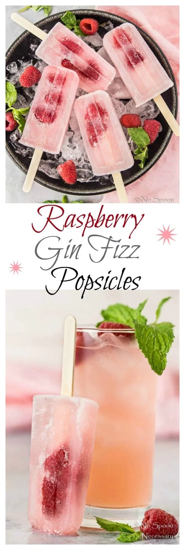 Raspberry Gin Fizz Popsicles - Poptails-7- long pin1