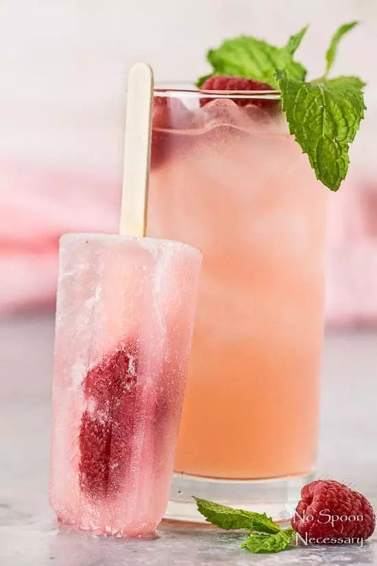 Raspberry Gin Fizz Popsicles - Poptails-76