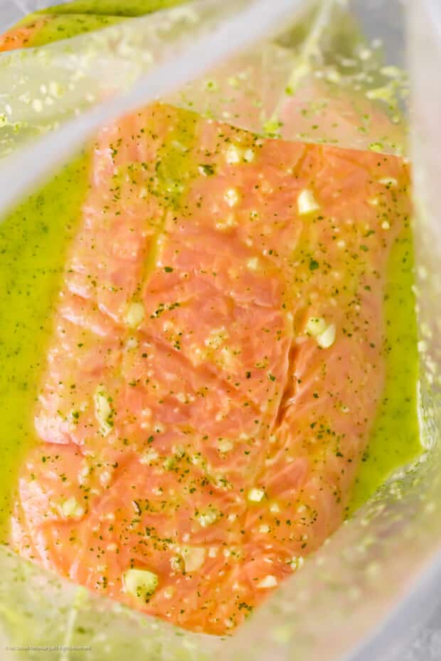Close-up photo of raw salmon in a citrus marinade.