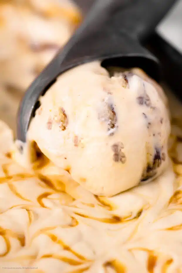 Close up photo of homemade buttered pecan ice cream in an ice cream scoop.