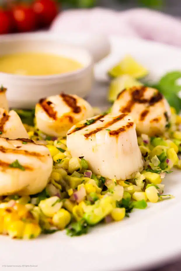 Straight on photo of a perfectly grilled sea scallop.