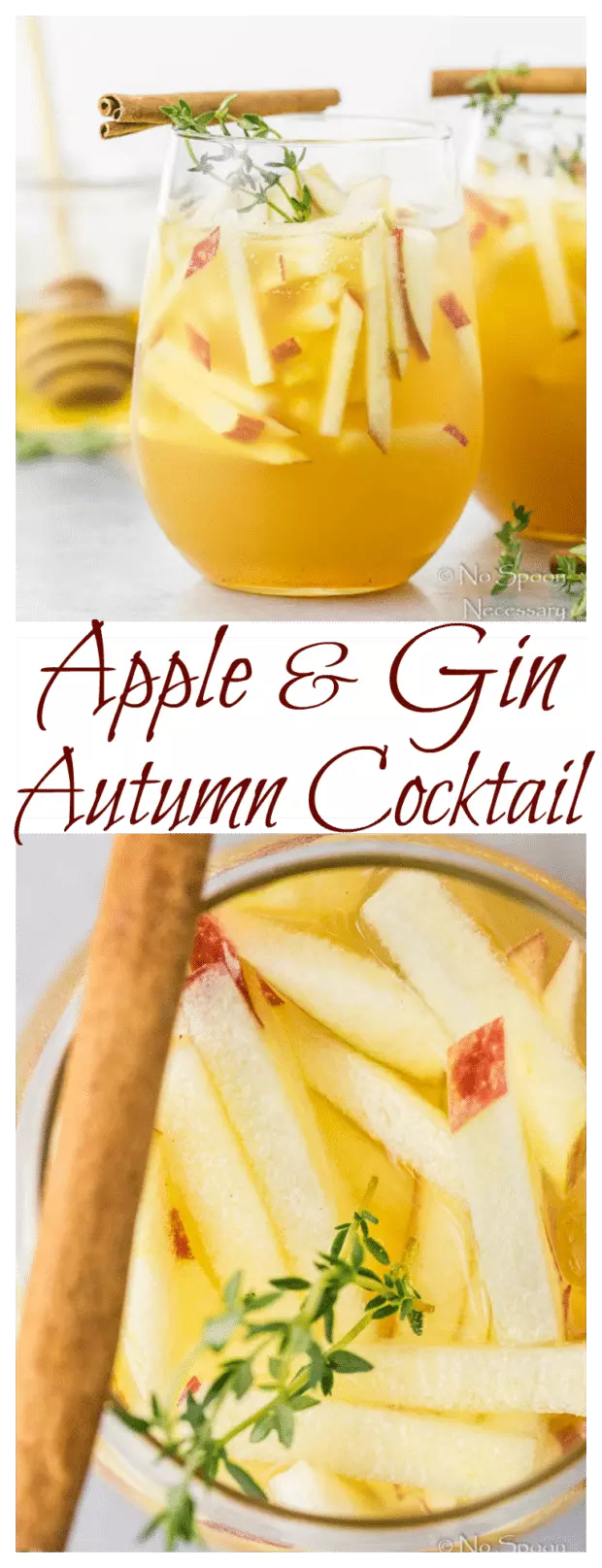 Apple & Gin Autumn Cocktail