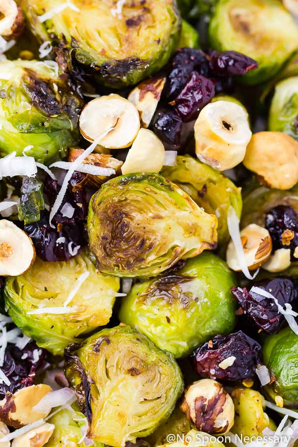 Overhead close-up shot of Maple Roasted Brussels Sprouts Salad with shredded pecorino, toasted hazelnuts and dried cranberries, with the focus on a single brussels sprout