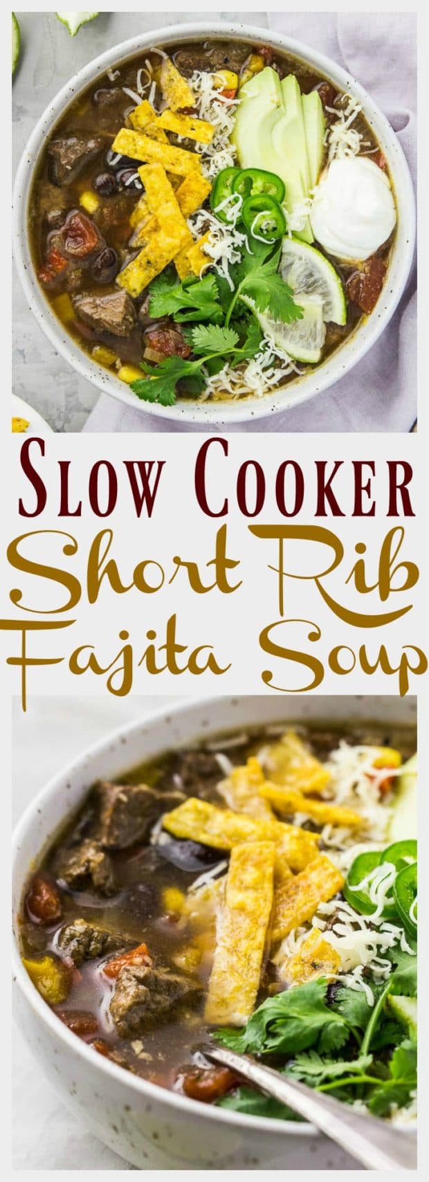 Slow Cooker Short Rib Fajita Soup
