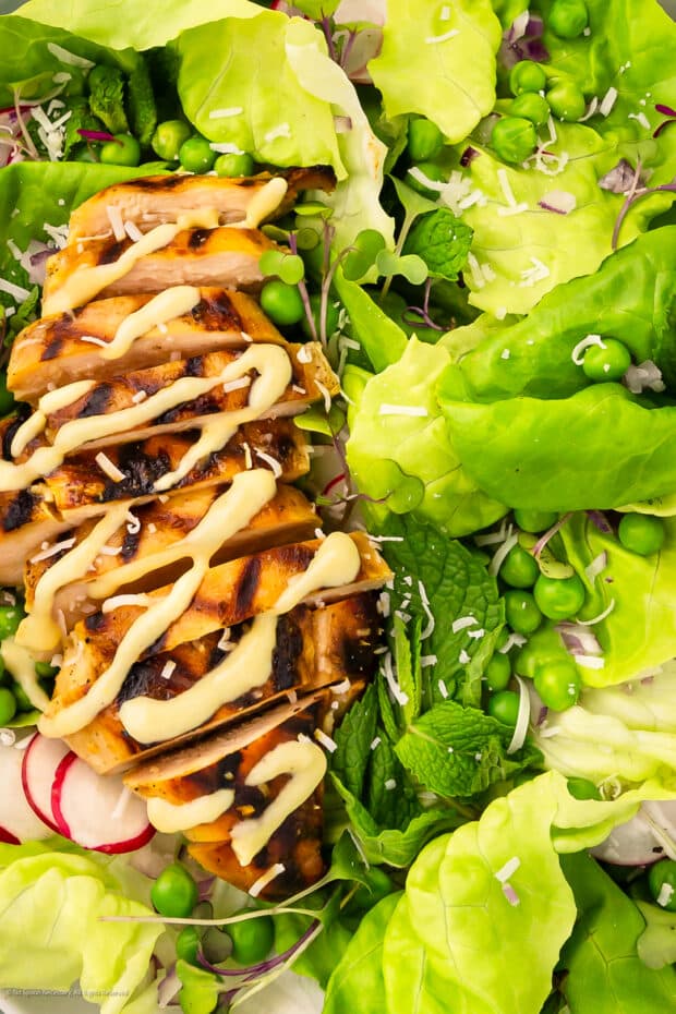 Close-up photo of grilled chicken on a peas and lettuce salad.