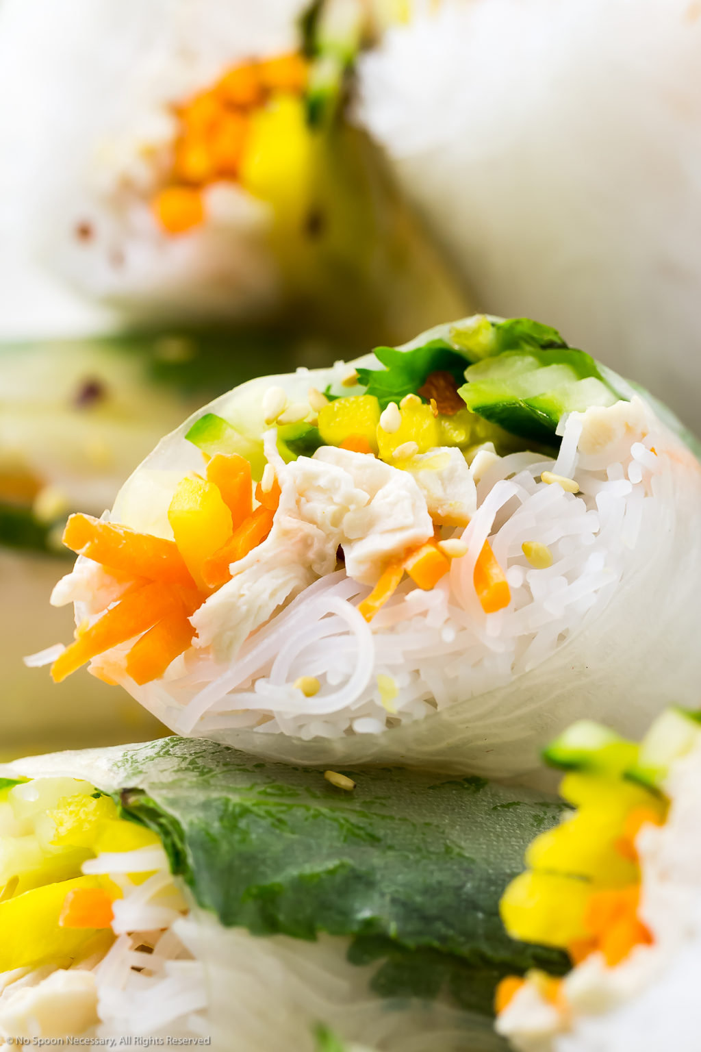 Rice Paper Rolls with Chicken - No Spoon Necessary