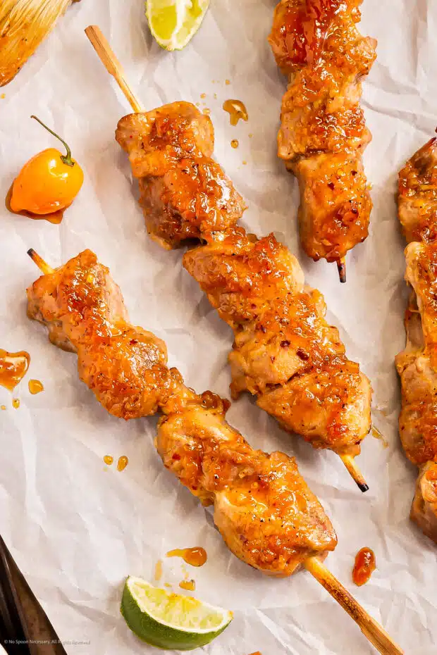 Overhead photo of two pork tenderloin skewers with apricot glaze. 