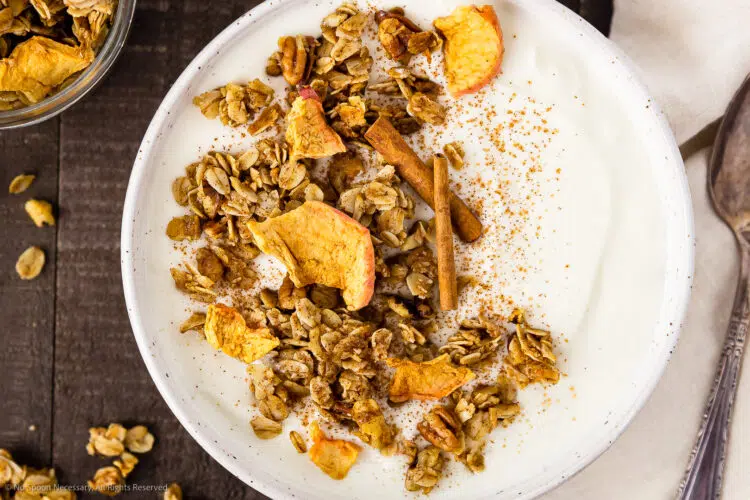 Overhead photo of a bowl of yogurt with cinnamon granola and apple chips.