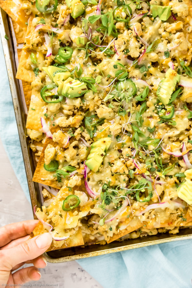 Overhead shot of a sheet pan of Chicken Wonton Nachos with a hand in the bottom left corner pulling a nacho from the pan.