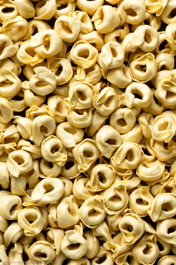 Overhead, close-up photo of a pile of fresh tortellini - before it's cooked in soup. 