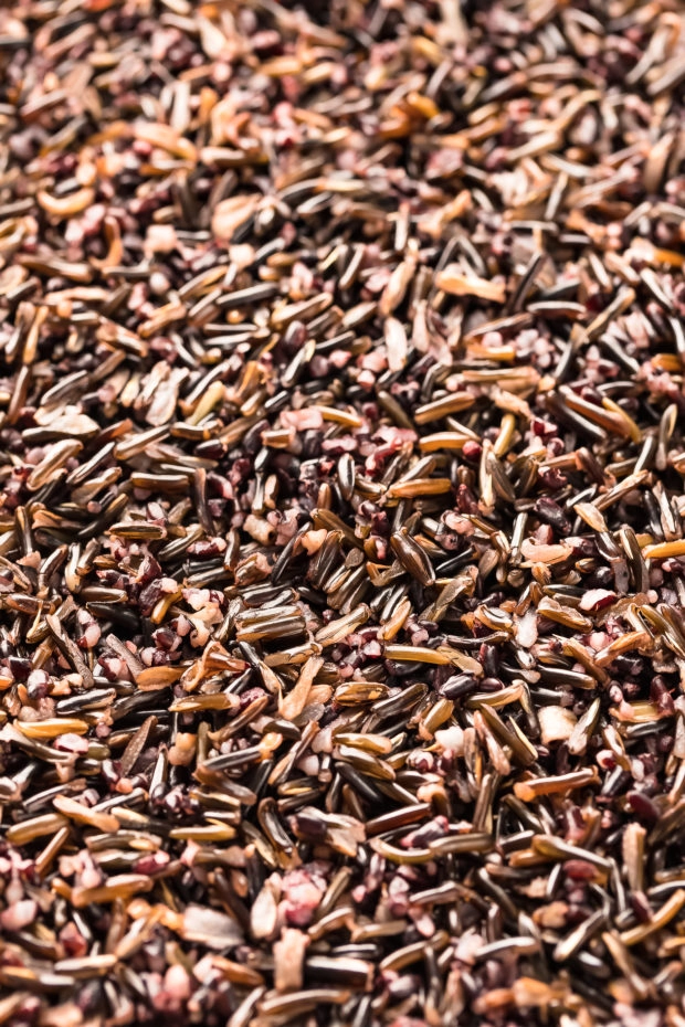 Angled, close-up photo of cooked wild rice spread out on a a baking sheet to cool - photo of step 2 recipe.
