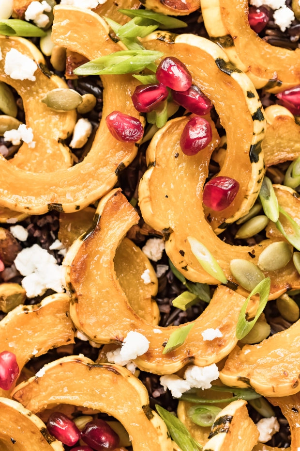 Overhead, close-up photo of Roasted Delicata Squash on a bed of Wild Rice Salad garnished with pomegranate arils, sliced scallions, goat cheese, pistachios and pumpkin seeds.