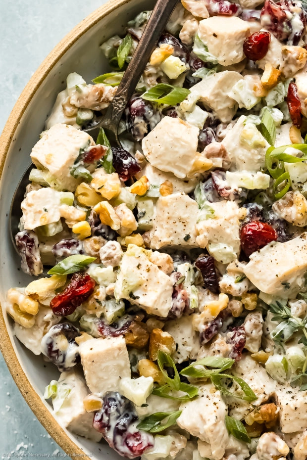 Overhead, close-up photo of Creamy Cranberry Chicken Salad garnished with sliced scallions and fresh thyme in a serving bowl with a spoon inserted into the salad.