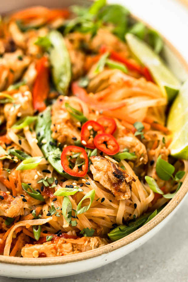 Angled, close-up photo of spicy chicken stir-fry with vegetables and noodles in a white bowl.
