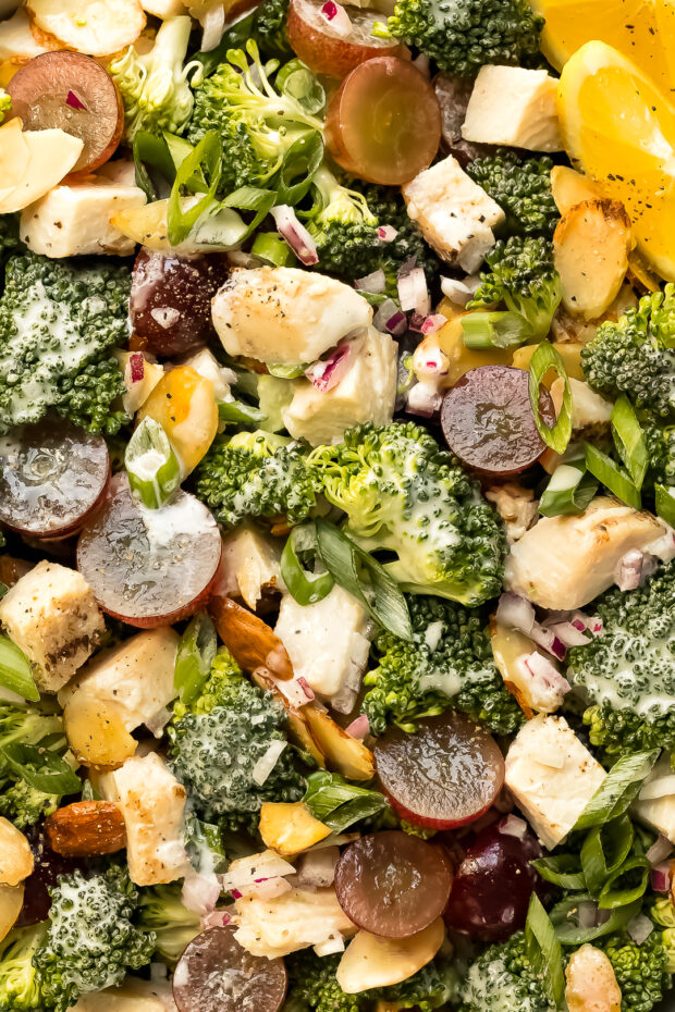 Overhead, close-up photo of creamy broccoli and grape salad with almonds.