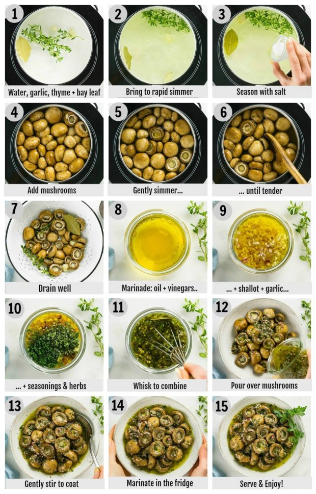 Overhead photo collage of how to make marinated mushrooms step by step with written instructions on each step.