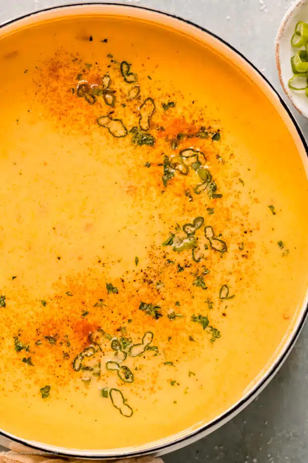 Overhead photo of a cheese and ale soup garnished with smoked paprika in a soup pot.