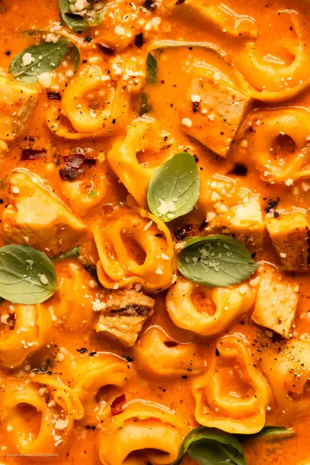 Close-up photo showcasing the hearty, creamy texture of chicken tortellini soup.
