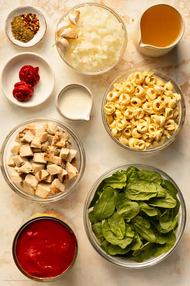 Overhead photo of the 9 ingredients in chicken and tortellini soup recipe.