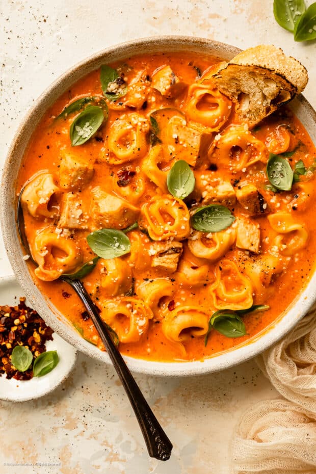 Chicken Tortellini Soup Recipe with Spinach