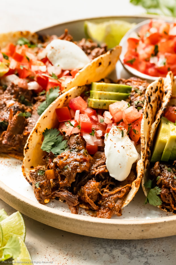 Angled, close-up photo of a Mexican Shredded Beef Taco topped with fresh pico de gallo, sliced avocados and sour cream on a white plate. 