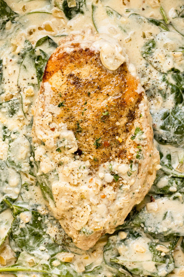 Overhead, close-up photo of a pan-seared chicken breast in a creamy chicken florentine sauce.