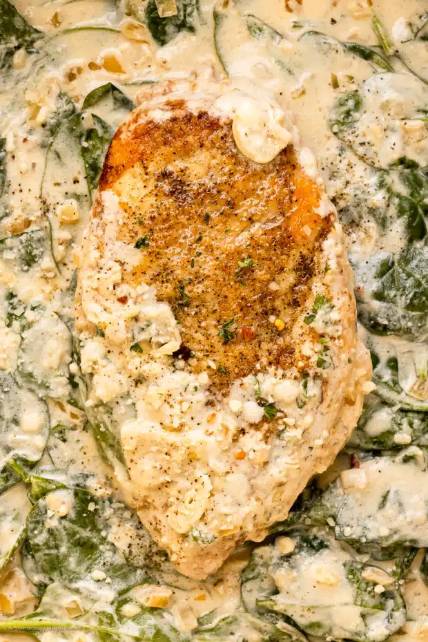 Close-up photo of a chicken breast in creamy florentine sauce with spinach. 