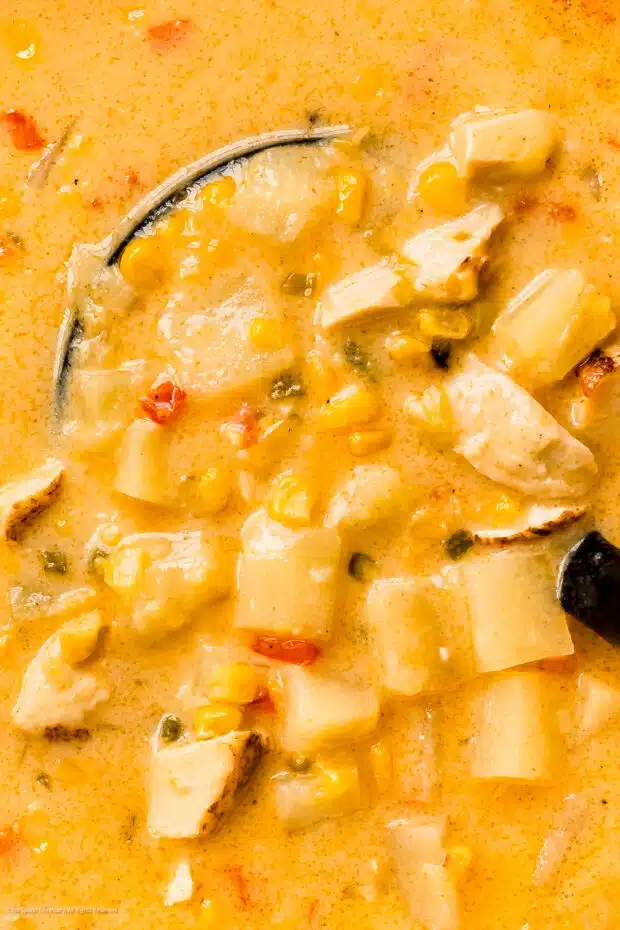 Close up photo showcasing the creamy texture of chicken soup with corn.