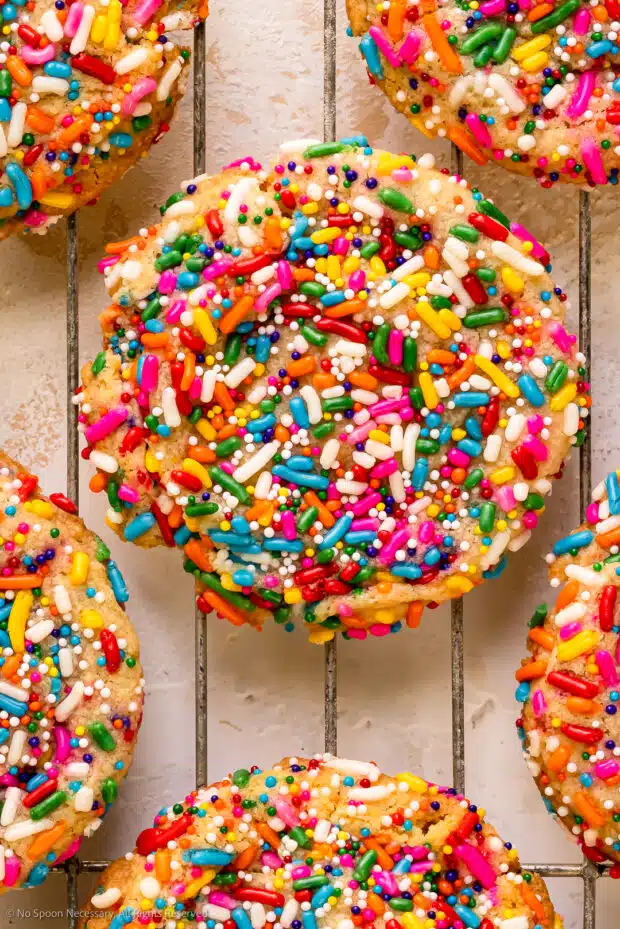 Close-up photo of a sprinkle cookie with rainbow sprinkles.