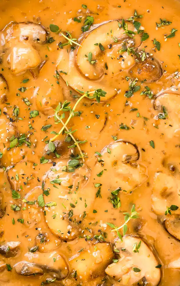 Extreme close-up photo of mushroom marsala sauce with fresh mushrooms and herbs.