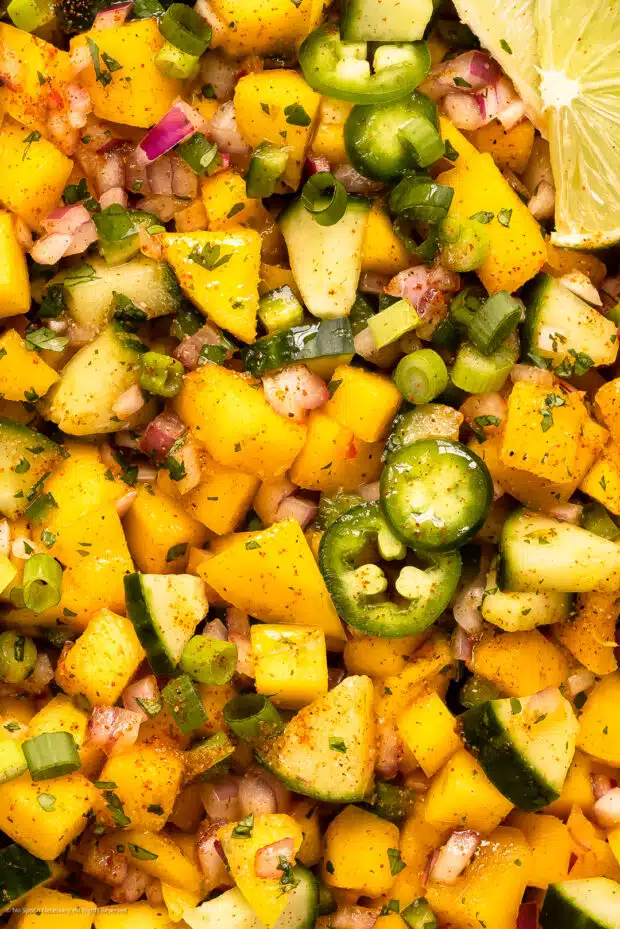 Close-up photo of homemade salsa with chopped mangoes, jalapenos, cucumbers, onions, and cilantro.