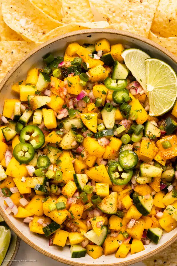 Overhead photo of mango taco salsa in a serving bowl.